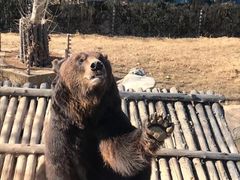 -济南野生动物世界