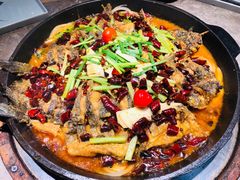 -老板恋上鱼(恒隆广场店)