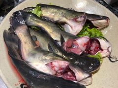 现杀黄辣丁-蜀大侠火锅(寰球文化地标·总府店)