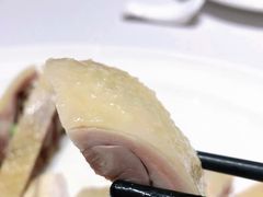 -新吉士·上海菜(浦东LCM置汇旭辉店)