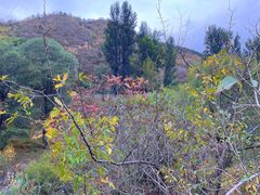-百里山水画廊乌龙峡谷
