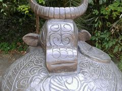 android_upload_pic-府山公园