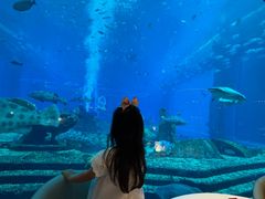 -亚特兰蒂斯•OSSIANO奥西亚诺海底餐厅