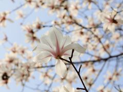 -人民广场