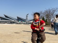 -盐城丹顶鹤湿地生态旅游区