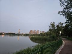 -金银湖国家城市湿地公园
