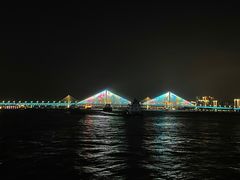 -武汉两江游览·夜游长江(汉口粤汉码头)