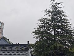 -徽园