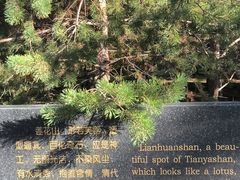 -天涯山