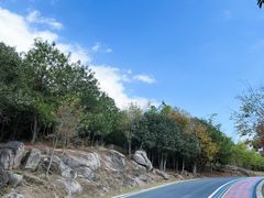 -南京市无想山景区