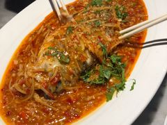 盐帮过水鱼-雀蓝川菜(奥体广场店)