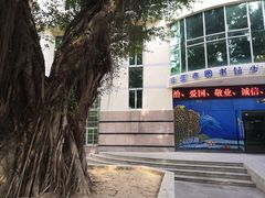 -三亚市图书馆
