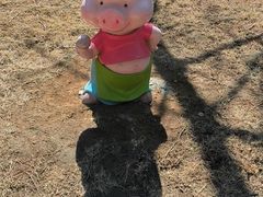 -金龙寺国家森林公园