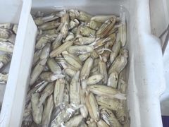 -宾朋海鲜饭庄(兴海路店)