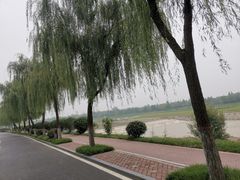 -洨河生态公园