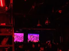 -坚果NUTS