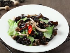 青瓜野山菌-朝郡酒家·粤菜(燕大星苑店)