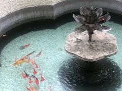 -比利时钻石文化交流中心(岳阳路店)