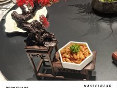 -梁溪河畔·吉府花园(南长街南下塘店)