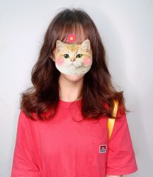点击看大图 -藤野造型