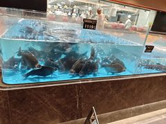 -艳阳天·非遗楚菜(武汉客厅店)