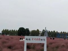 -金卉庄园