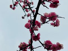 -艾溪湖湿地公园