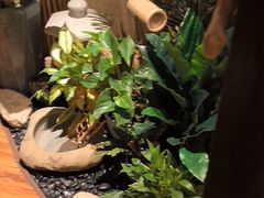 -千代武日本料理(开发区店)
