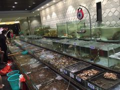 -新海利海鲜城·41年珠海老字号(夏湾店)