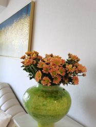 -纤姿俪纳·产后恢复连锁机构(鄞州万达店)