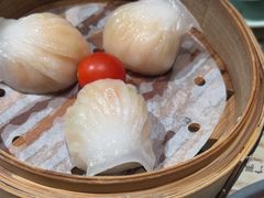 -点都德(华强南店)