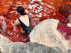 -湖泉半山温泉