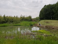 -贡湖湾湿地公园