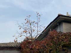 -北京西山国家森林公园