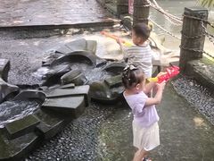 -成都市活水公园