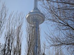 -龙塔