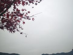 -塔川景区