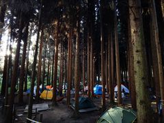 -武陵山森林公园