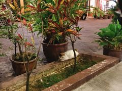 -Telaga Seafood Restaurant
