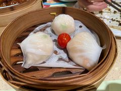 金牌虾饺皇-点都德(千灯湖环宇城店)