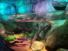 -沈阳海洋探索中心