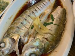 -老马家·舌尖上的西塘美食