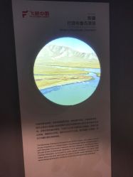 -飞览天下沉浸式飞行体验(北京旗舰店)