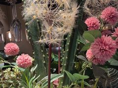 -百特喜·意大利餐厅(八佰伴镇江店)