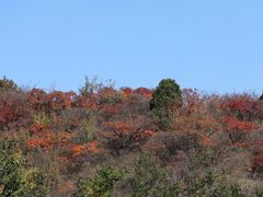 -北京西山国家森林公园