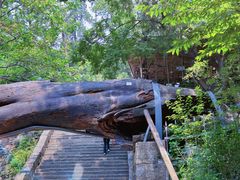 -泰山风景名胜区