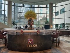 -Plush大堂酒廊(北京金融街威斯汀大酒店)