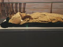 -北京大学赛克勒考古与艺术博物馆