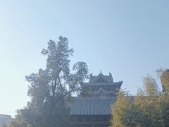 -飞云楼