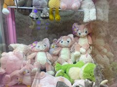 -太湖饭店玉兰厅(自助餐厅)